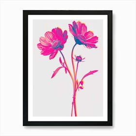 Hot Pink Oxeye Daisy 3 Art Print