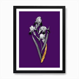 Vintage Elder Scented Iris Black and White Gold Leaf Floral Art on Deep Violet n.0965 Art Print