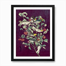 Nature Synphonie Art Print