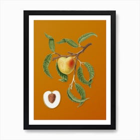 Vintage Peach Botanical on Sunset Orange n.0186 Art Print