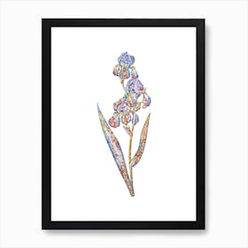 Stained Glass Dalmatian Iris Mosaic Botanical Illustration on White Art Print