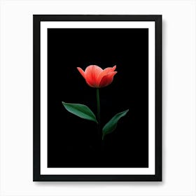 Single Red Tulip On Black Background 1 Art Print