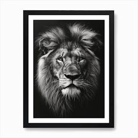 Barbary Lion Charcoal Drawing Portrait Close Up 4 Art Print