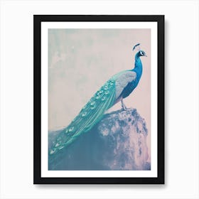 Vintage Turquoise Peacock On A Rock Photography Style 4 Art Print