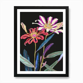 Neon Flowers On Black Cineraria 1 Art Print