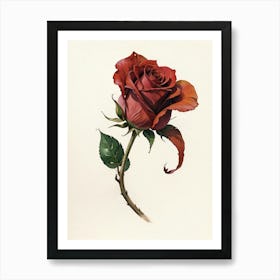 Roses In Bloom Art Print