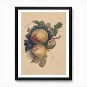 Peaches And Grapes 2 Art Print