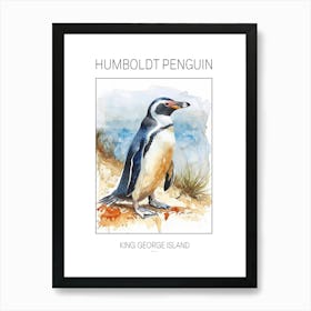 Humboldt Penguin King George Island Watercolour Painting 3 Poster Art Print