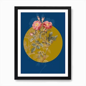 Vintage Botanical Queen Elizabeth's Sweetbriar Rose on Circle Yellow on Blue Art Print