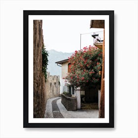 Old street with Red Flower Tree, Italy Art Print