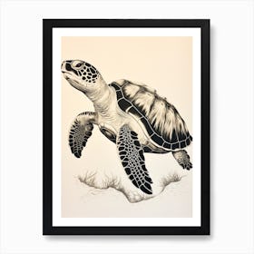 Sepia Black Contrast Turtle Illustration Art Print