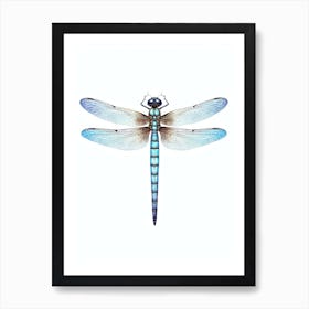 Dragonfly Darner Aeshna 3 Art Print