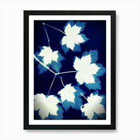 Leaves On A Branch Art Print