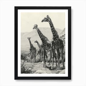 Herd Of Giraffe Pencil Portrait 3 Art Print