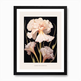 Flower Illustration Carnation Dianthus 6 Poster Art Print