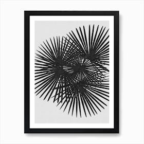 Fan Palm Black & White Art Print