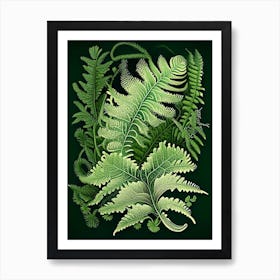 Polypody Fern Wildflower Vintage Botanical Art Print