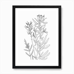 St John S Wort Herb William Morris Inspired Line Drawing 1 Art Print