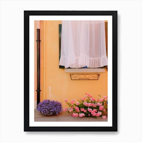 Italian Window And Flowers Art Print