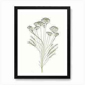 Caraway Herb Minimalist Watercolour 3 Art Print