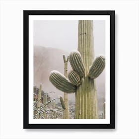 Snowy Desert Saguaro Art Print