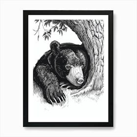 Malayan Sun Bear Laying Under A Tree Ink Illustration 4 Art Print