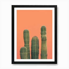 Cactus 15 Art Print