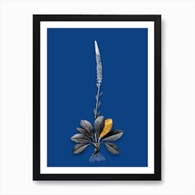 Vintage Blazing Star Black and White Gold Leaf Floral Art on Midnight Blue n.1081 Art Print