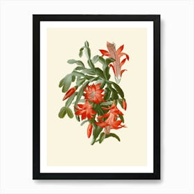 Cactus Flower 3 Art Print