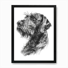 German Wirehaired Pointer Dog Black & White Line Sketch 1 Art Print