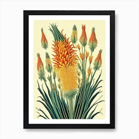 Kniphofia Floral 3 Botanical Vintage Poster Flower Art Print