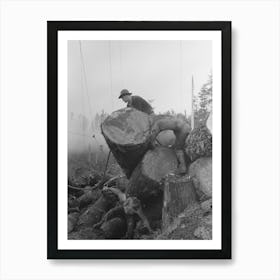 Untitled Photo, Possibly Related To The Choker Puts Choker Loop On Log For Transporting From Woods To Yard By Póster