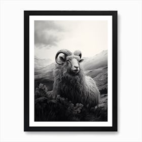 Stormy Black & White Illustration Of Highland Sheep 2 Art Print