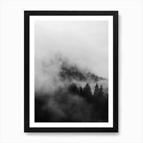 Black Foggy Forests Art Print