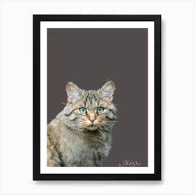 Wildcat Art Print