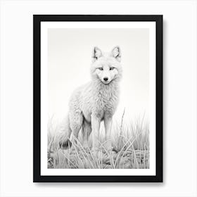 Arctic Fox In A Field Pencil Drawing 4 Art Print