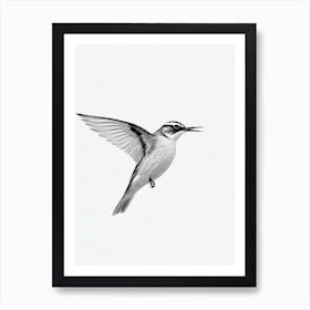 Lark B&W Pencil Drawing 1 Bird Art Print