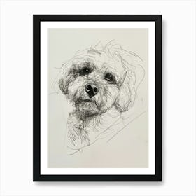 Bichon Frise Dog Charcoal Line 2 Art Print