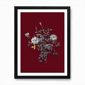 Vintage Dwarf Rosebush Black and White Gold Leaf Floral Art on Burgundy Red n.1083 Art Print