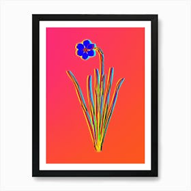 Neon Narcissus Poeticus Botanical in Hot Pink and Electric Blue n.0135 Art Print