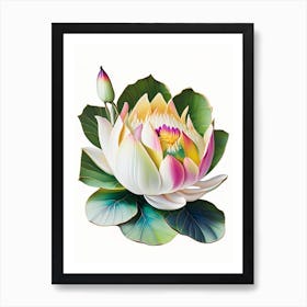 Early Lotus Decoupage 3 Art Print