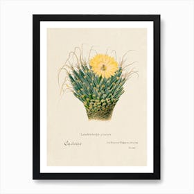 Agave Cactus, Familie Der Cacteen Art Print