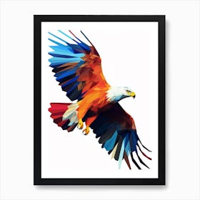 Colourful Geometric Bird Hawk Art Print