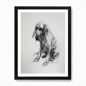 Bloodhound Dog Charcoal Line 4 Art Print