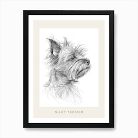 Silky Terrier Dog Line Sketch 3 Poster Art Print