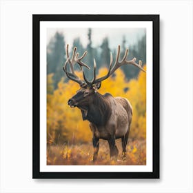 Elk In Autumn Póster