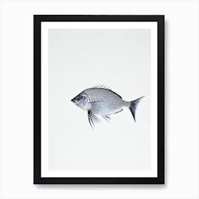 Tang Fish Black & White Drawing Art Print