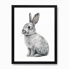 Silver Marten Rabbit Nursery Illustration 4 Art Print