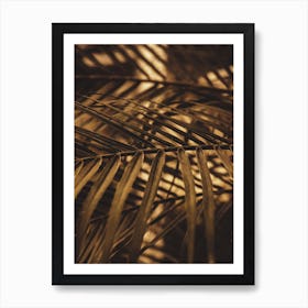 Palm Leaves Art Print