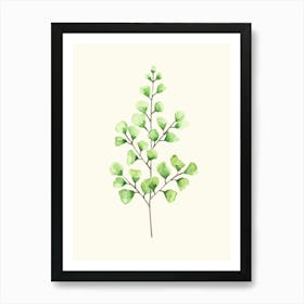Eucalyptus 3 Art Print